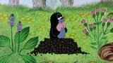 鼹鼠的故事